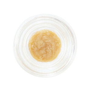 SALTY CULTIVATION | 90U MELT |  1G